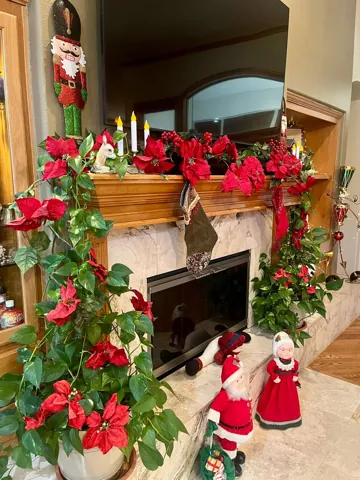 Festive red and green decorations on wood shelves