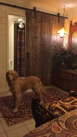 A dog standing beside a wood door and patterned rug in a living space